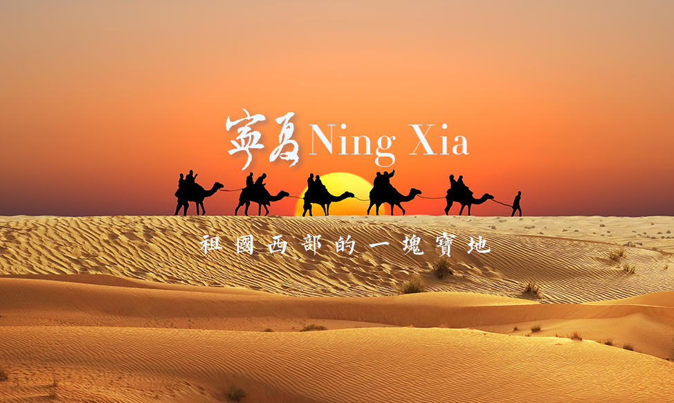 宁夏｜祖国西部的一块宝地
